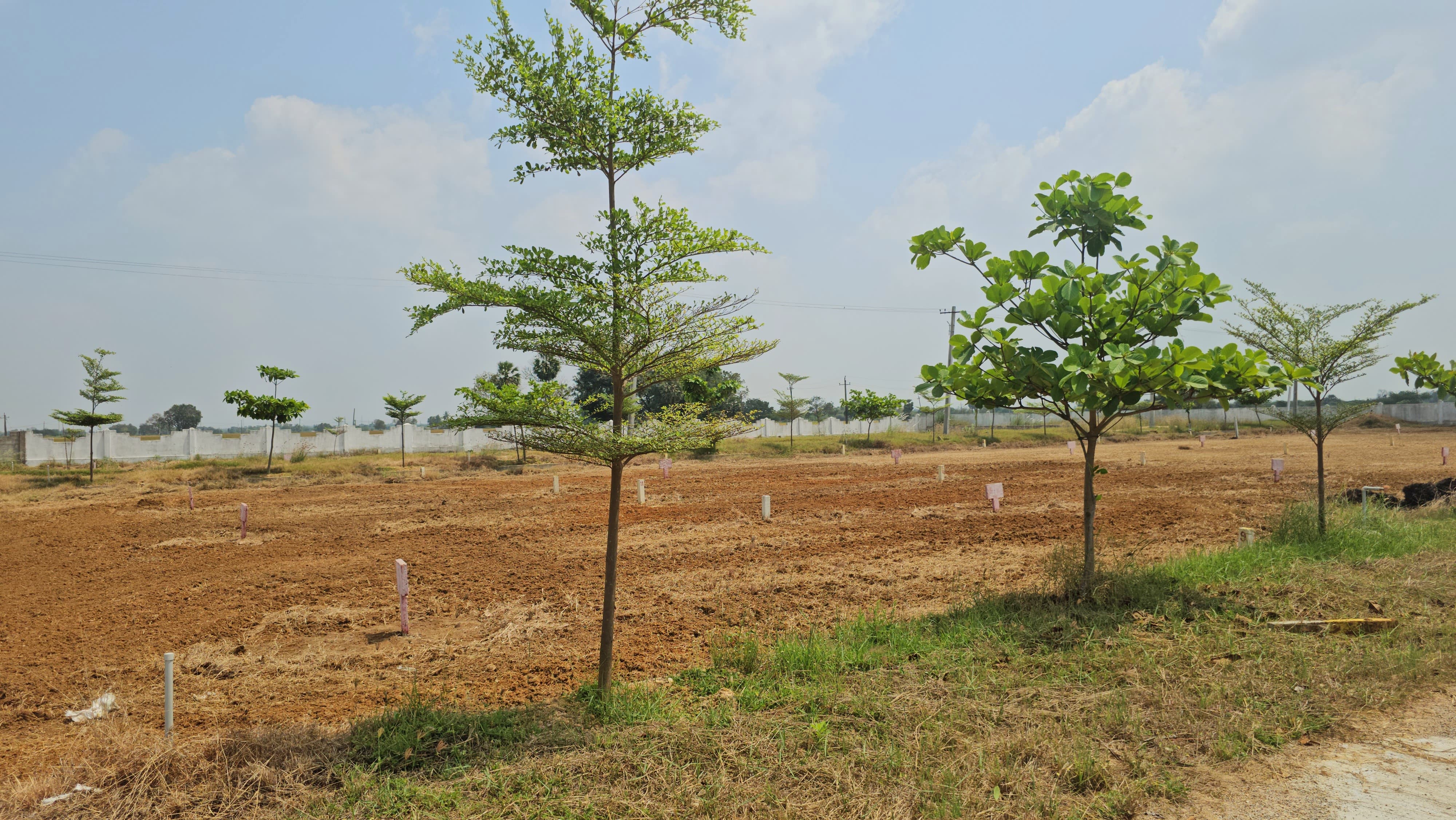 GRAND VIEW DEVELOPMENTS